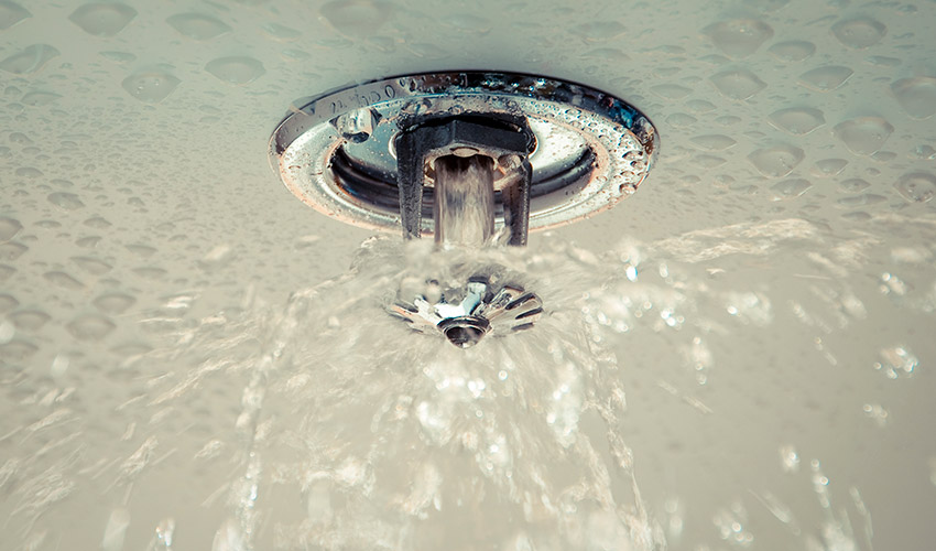 ceiling sprinkler