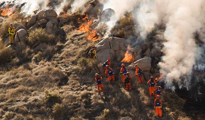 forest fire